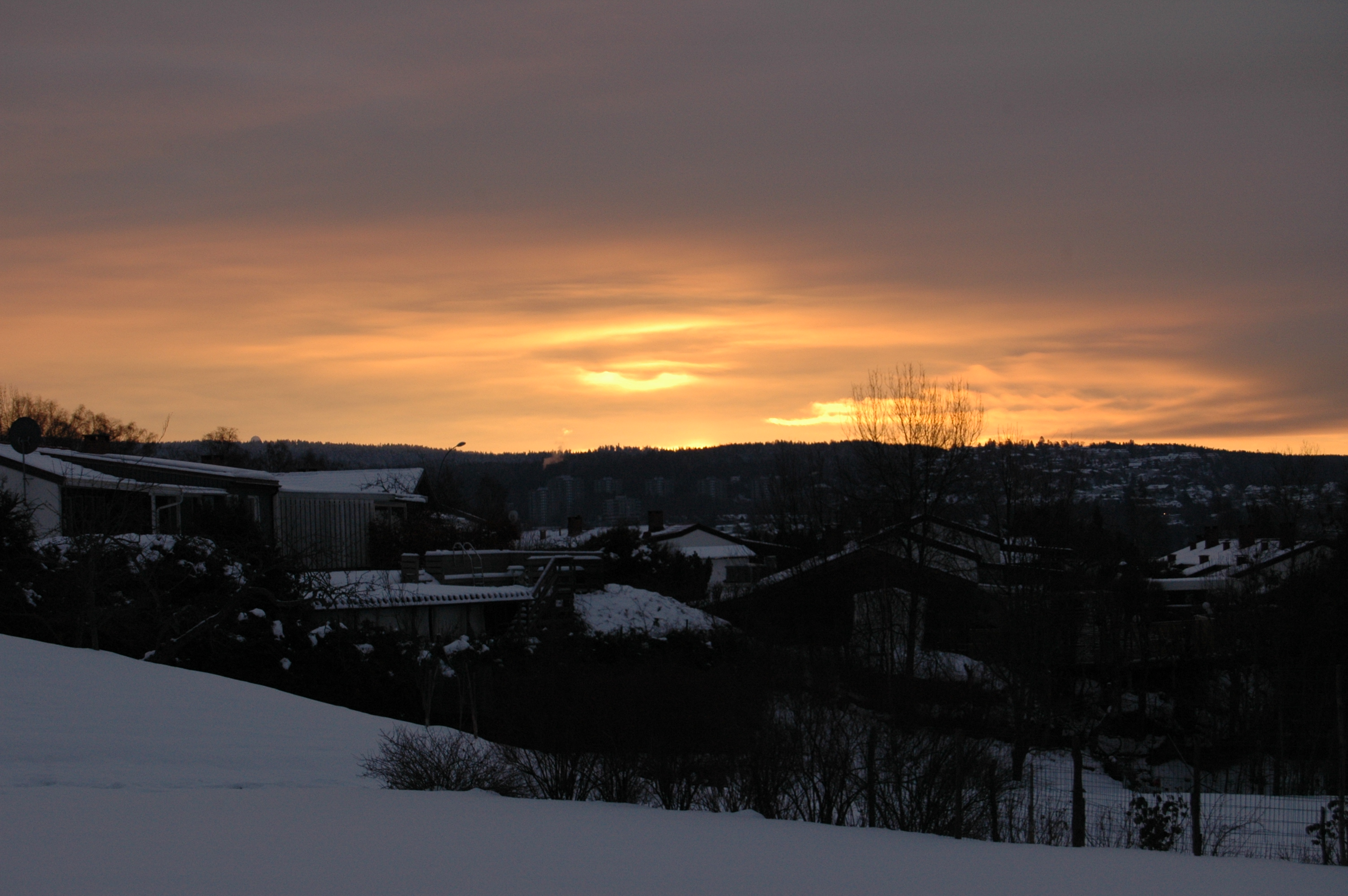 22. desember: O Verdens Konge